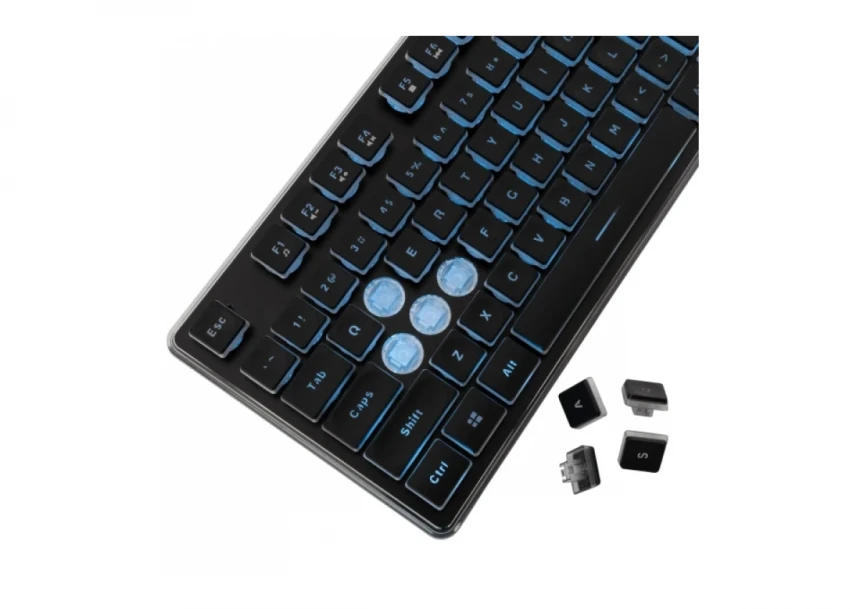 Tastatura White Shark GK 003141 TACHI crna membranska US