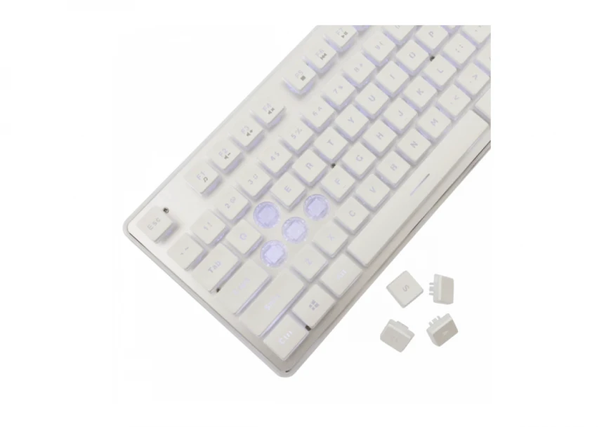 Tastatura White Shark GK 003241 TACHI White membranska US
